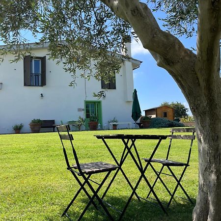 Bed And Breakfast Country Cottage Civitavecchia Eksteriør billede