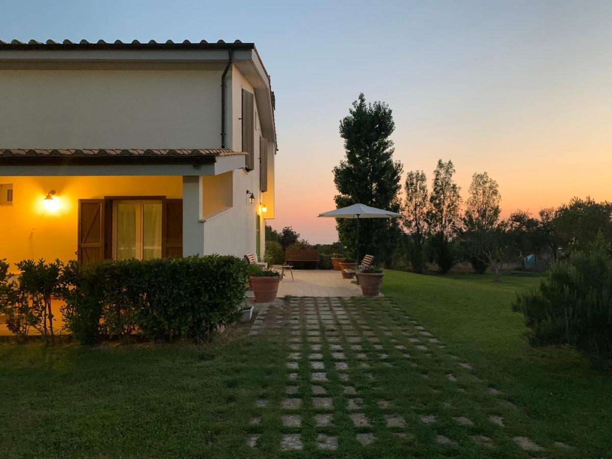 Bed And Breakfast Country Cottage Civitavecchia Eksteriør billede