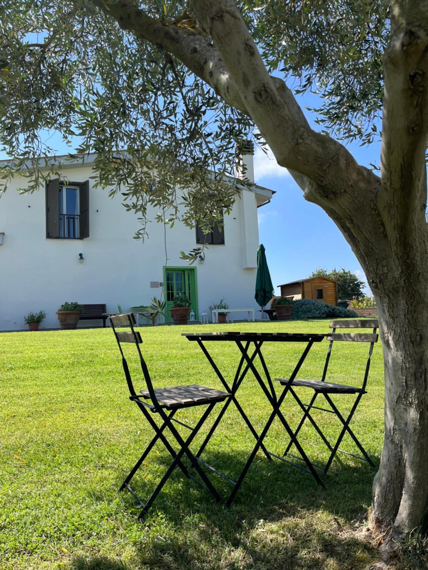 Bed And Breakfast Country Cottage Civitavecchia Eksteriør billede